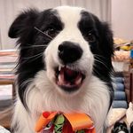 Brian - @maycampbell31 - Instagram
