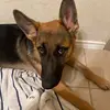 maya - @mayacastaneda8 - TikTok