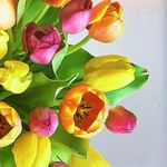 Michelle Chambers - @may.chambers.3766 - Instagram