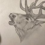 @maycoxart - Instagram