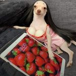 Mary-Ann Crouch - @mary._.ann0778 - Instagram