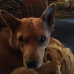 Maggie May Dodd - @maggiemaydodd - Instagram