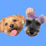 Duffy🤎May🩶 - @duffy.may0317 - Instagram