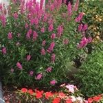 Mary Dunn - @marydunn63 - Instagram