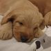May Edwards - Facebook