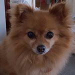 May Eng - @may_eng08 - Instagram