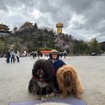 May Eng Foo - @mary08242008 - Instagram