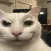 maya frank - @maya.frank1 - TikTok