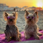 ᗰᗩYᗩ & ᗰOᖇᗩ ♡ - @maya.mora.y.frank - Instagram