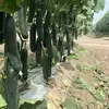 May Friend - @may.friend2 - TikTok