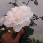 May Friend Sahu - @krishna__king_k - Instagram