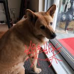 May Fung - @mayfung_afimage - Instagram