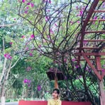 May Thara Fu - Facebook