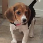 Harlow May Graves - @hmgthe4 - Instagram