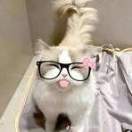 Alonica May Gray - Facebook