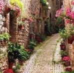 May Halabi - Facebook