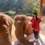 May Han Soe - @mayhansoe - Instagram