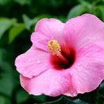 May Hansen - @hansen8025 - Instagram