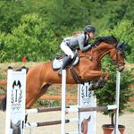 May Hansen-Schwartz - @may_equestrian - Instagram