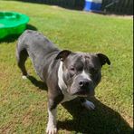 TeAroha May Hansen - Facebook