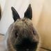 May Horton - Facebook