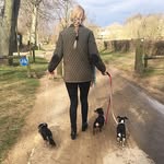 May Hudson - @hudson_pooches - Instagram