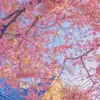 May Jiang73 - @mayjiang73 - TikTok