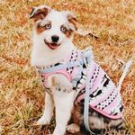 May Jiang - @mayjiang62 - Instagram