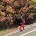 May Jiang - Facebook