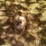 Mayjoehaven Mindie - @mayjoehaven - Instagram