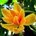 May Kha - Facebook