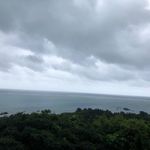 May Kwong - @maykwong0201 - Instagram