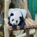 May Lam - Facebook