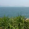 May Lam - @maylam4 - TikTok
