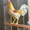 Mayo Maldonado876 - @maymaldonado2 - TikTok
