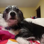 Mary McCord Gibson - @btsaholic1013 - Instagram