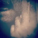 Lilly - @lilly_maymcleod - Instagram