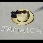 May McLeod - @may_may_meem - Instagram
