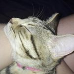 May Nichols - @maviesnichols - Instagram