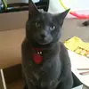 mayotto - @jungwonyoon4 - TikTok