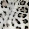 otto🐆 - @may.otto - TikTok