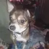 mamma - @maypalmer60 - TikTok