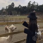 May Palmer - @maypalmer73 - Instagram