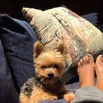 May Poole - @maypoole53 - Instagram