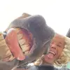 Annie - @anniemayporter - TikTok