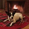 Daisy.May.Price - @daisy.may.price - TikTok