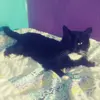 Maycee Stinson - @mayceestinson_11 - TikTok