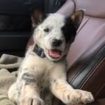 May Sutton - @lilbit_of_mayhem - Instagram