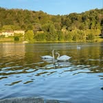 Uks - @may_swan976 - Instagram