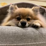 miwa - @_may.toy_ - Instagram